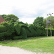 Illustration for article titled Man Keeps His Home Safe With a Dragon Hedge